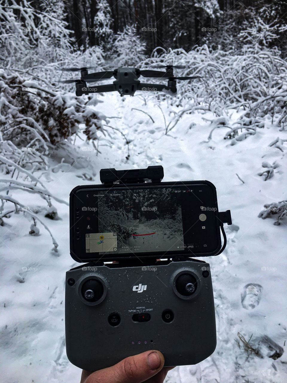 Winter dronе