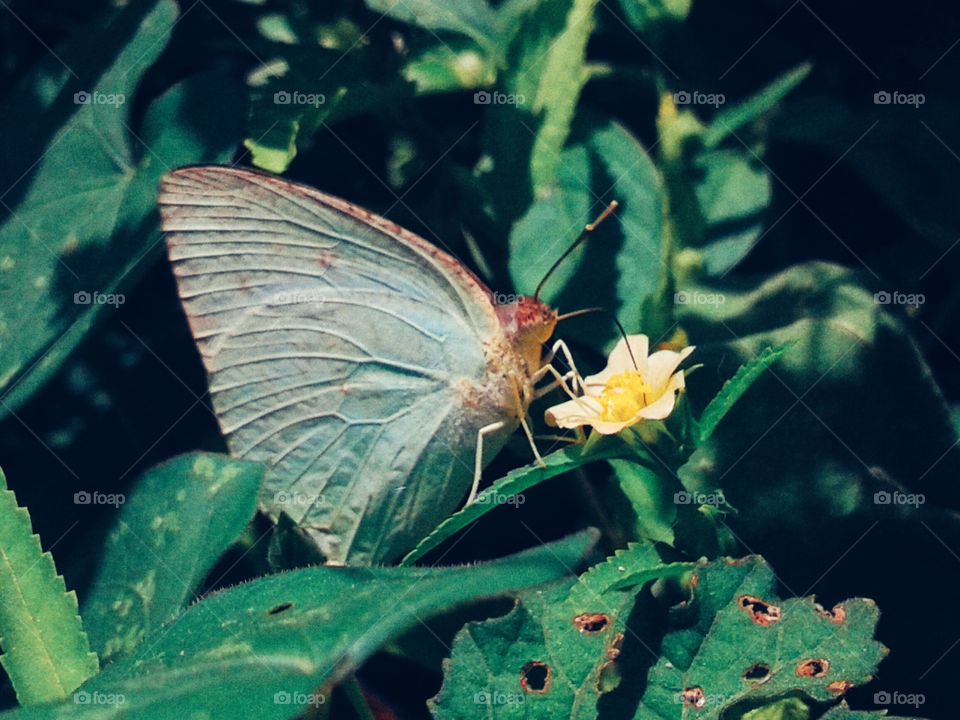 When you transform yourself, you transform the world