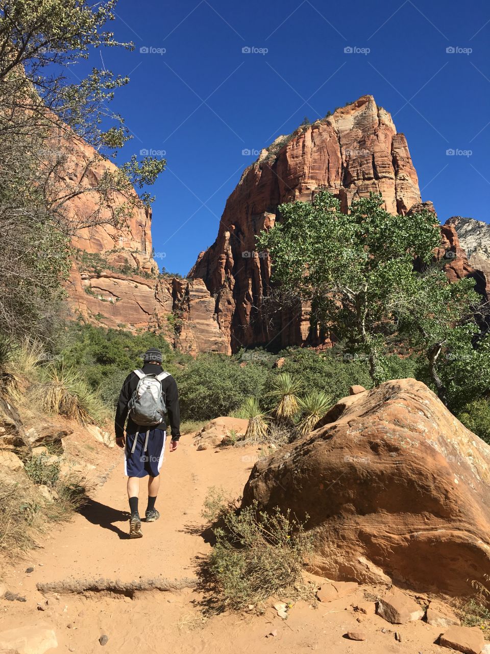 Start of Angels Landing
Zion National Park, Utah 
