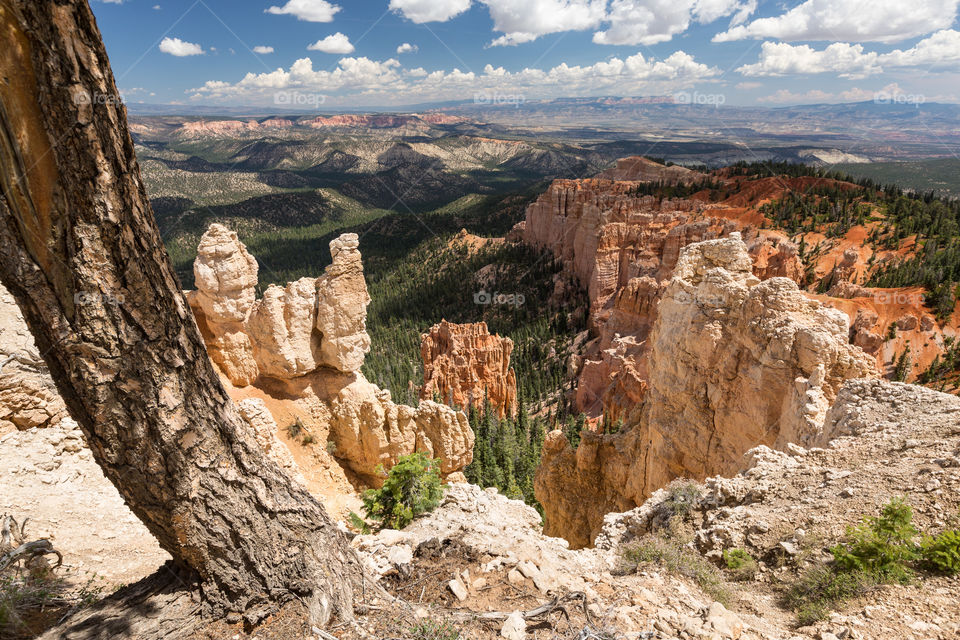 View towards Bryce Canyon. View towards Bryce Canyon from rainbow point in Utah. Orange colored limestone formations