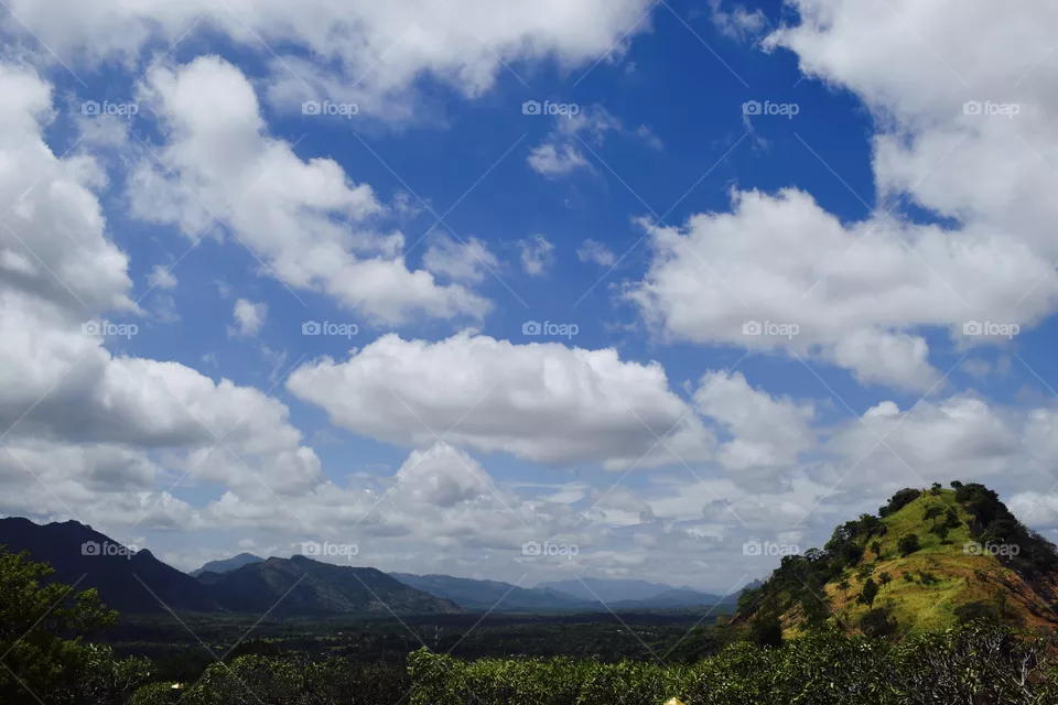 View from