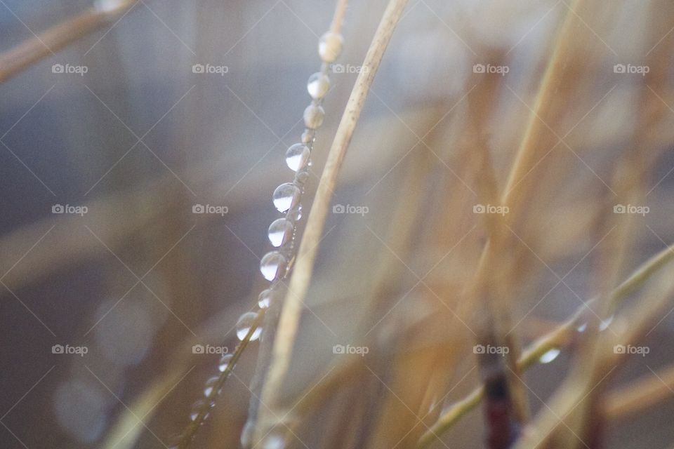 Rain drops at the beach