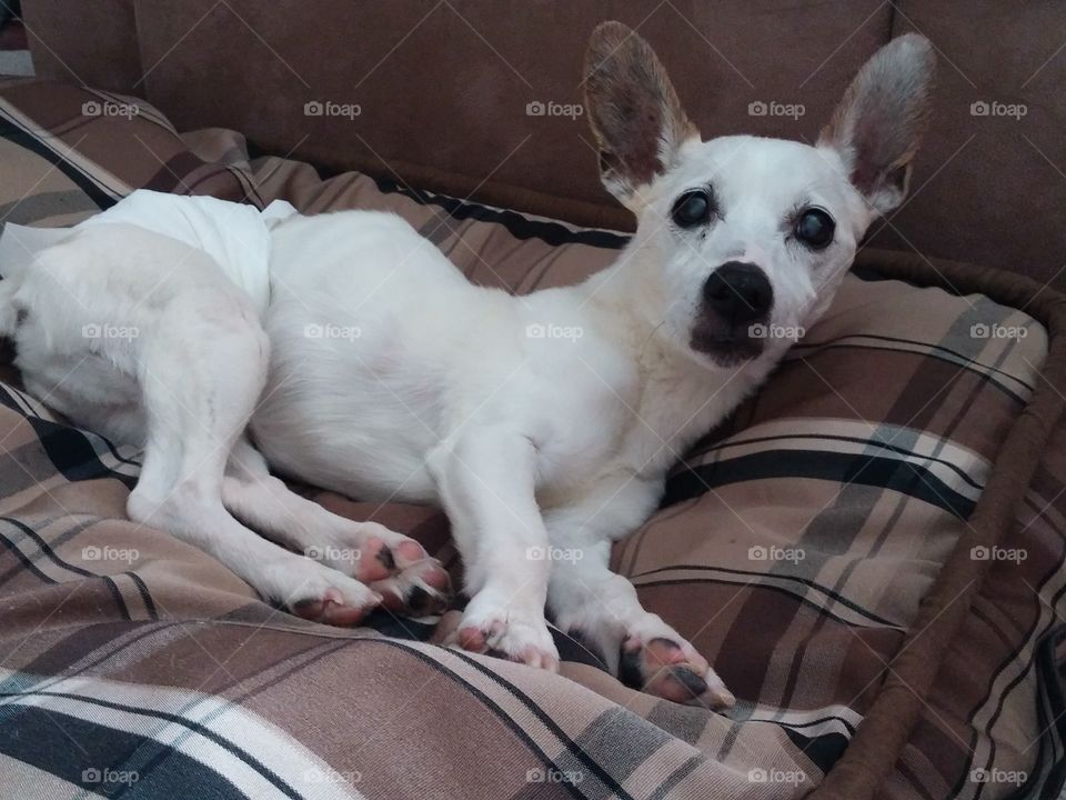 patches. just waking up