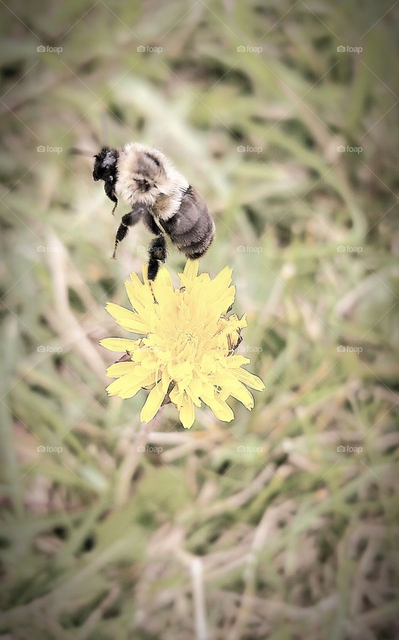 In flight