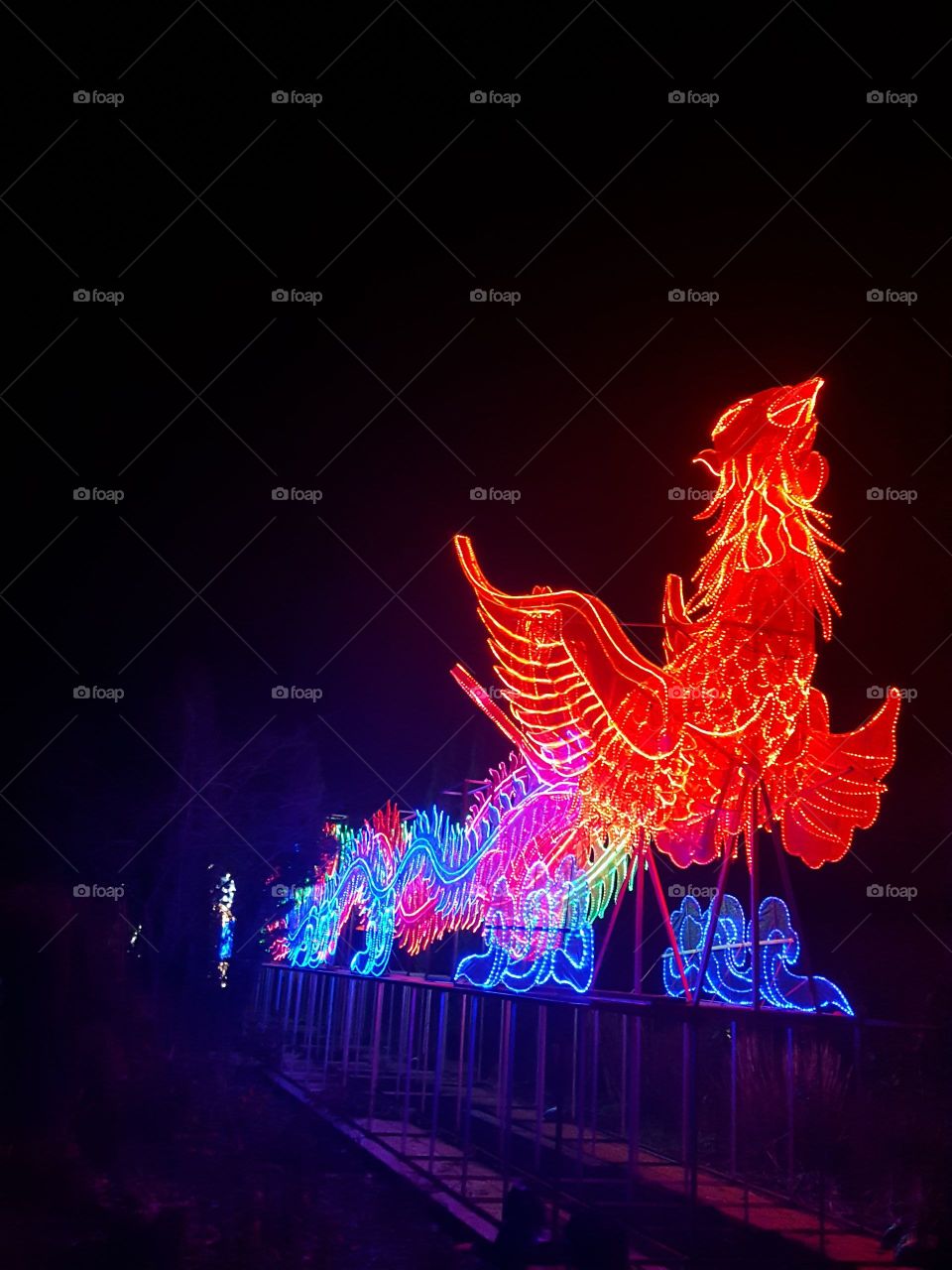 phoenix in lights