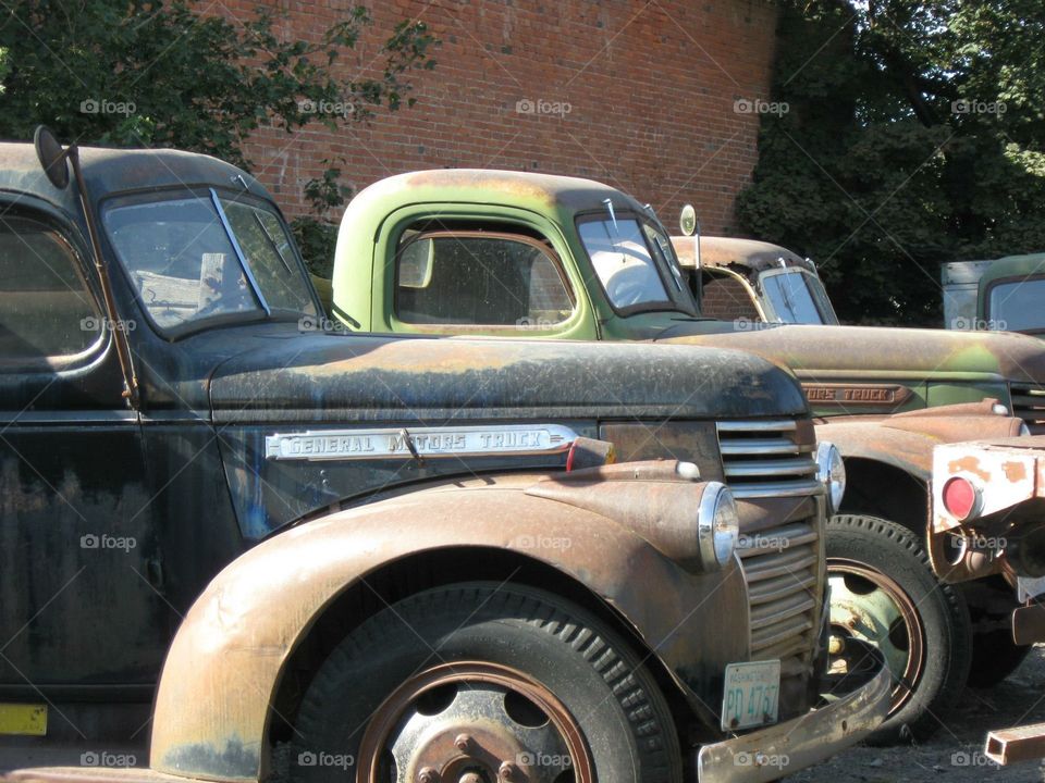 Vintage trucks