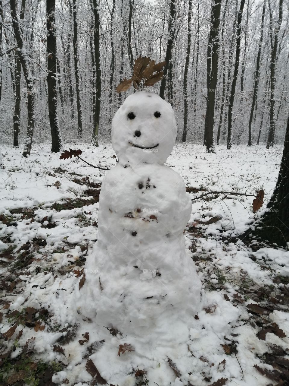 Snow man