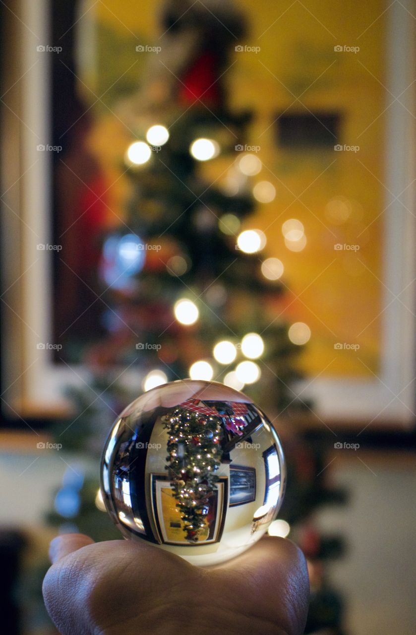 Reflections of Christmas 