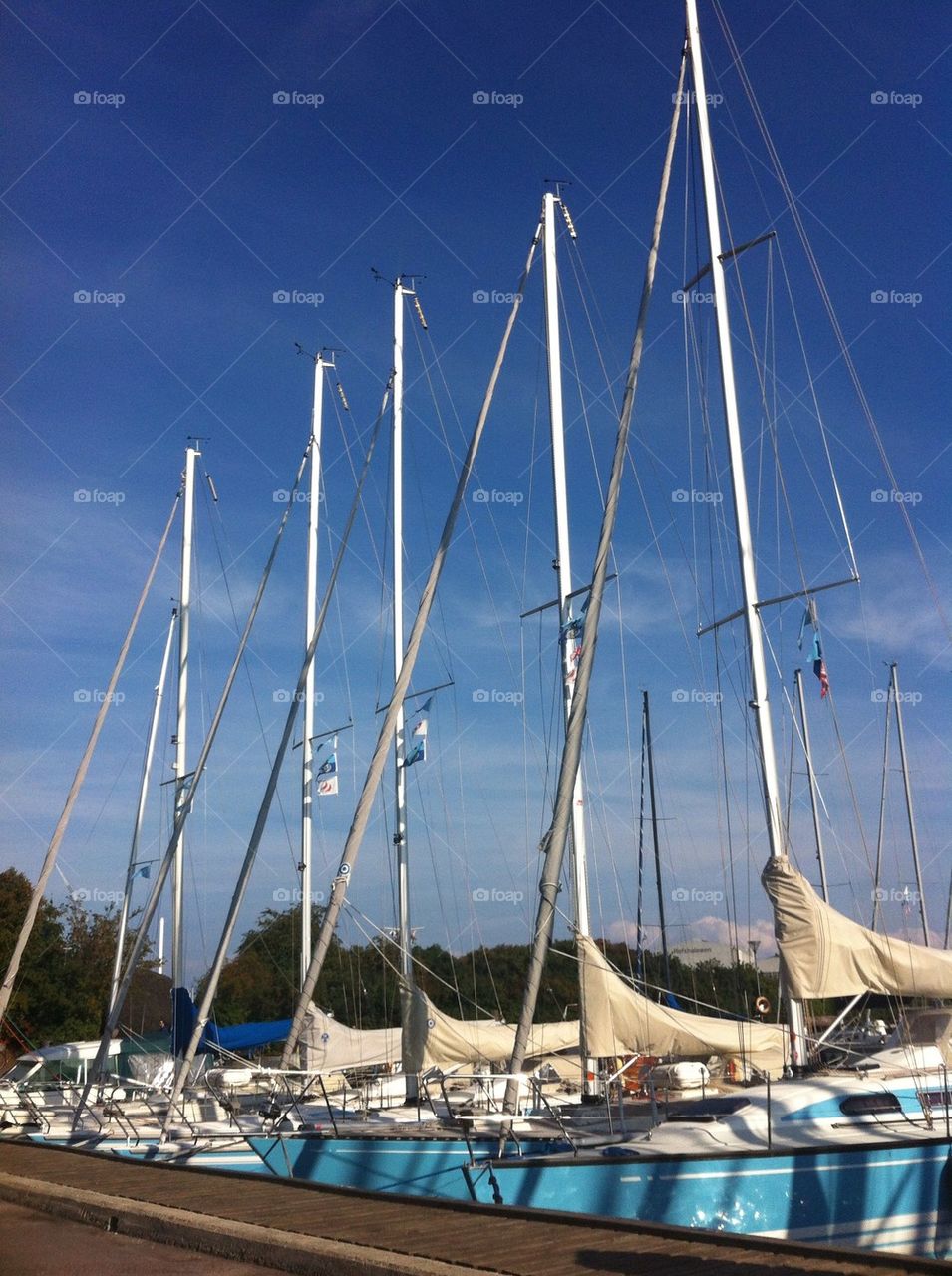 Sailboats in a summerday