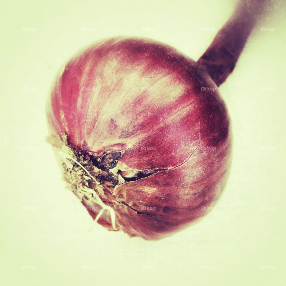 Red onion
