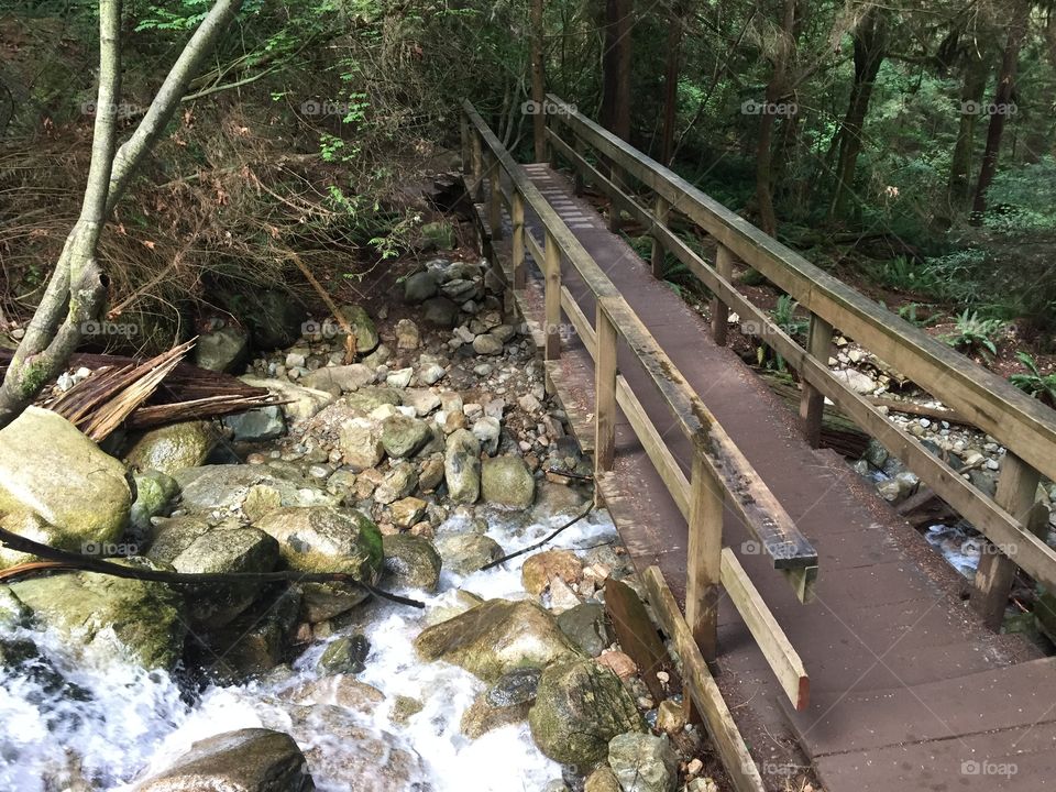 A nice hiking spot in Vancouver, B.C..