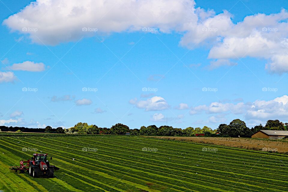 Plowing the fields! 