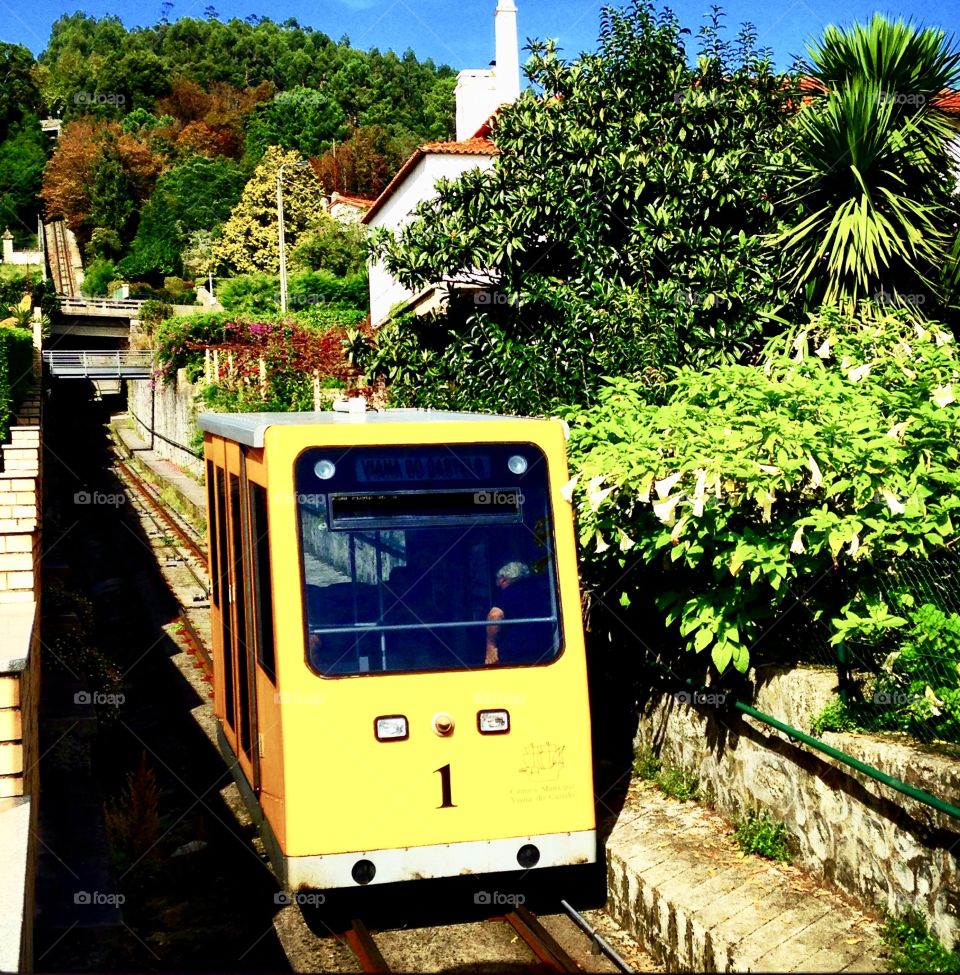 the assenssor in Viana do Castelo in Portugal