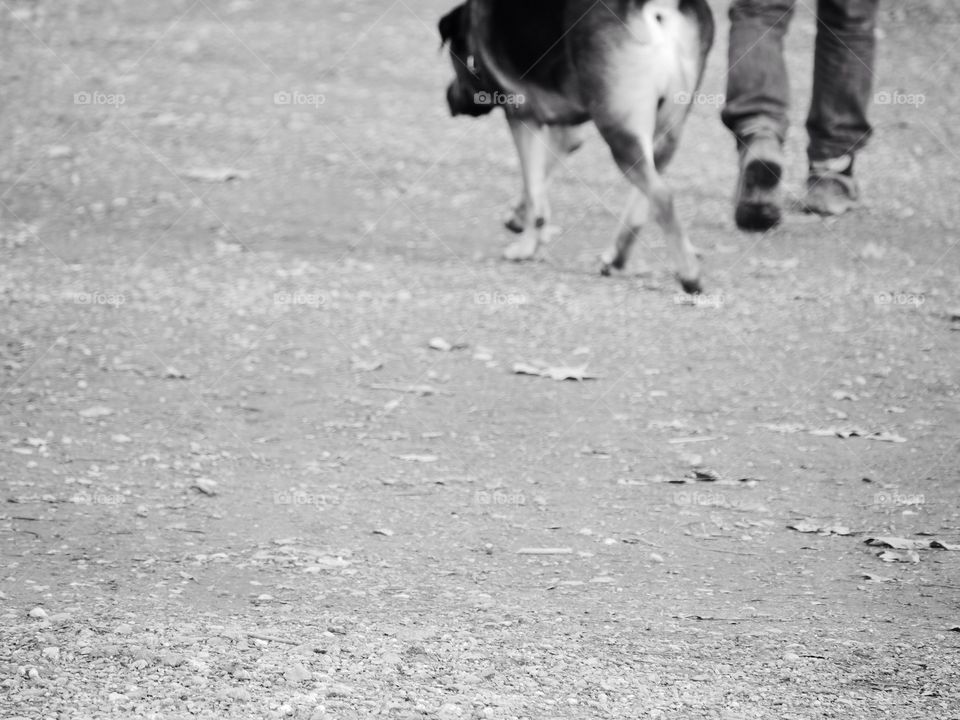 A man and his dog 