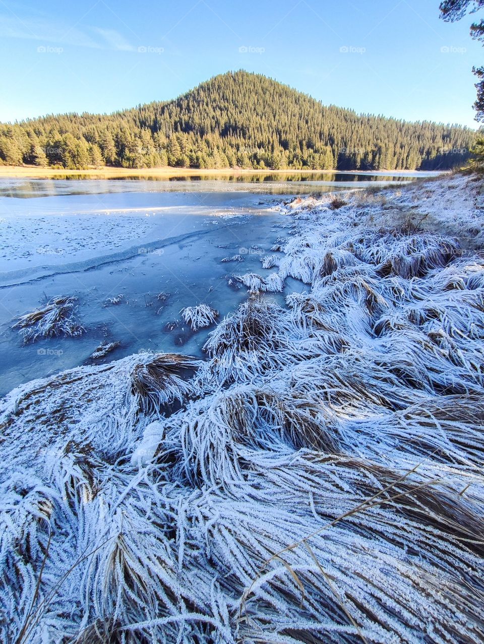 Frosty Marvels: Nature's Ice Artistry Frozen Lake