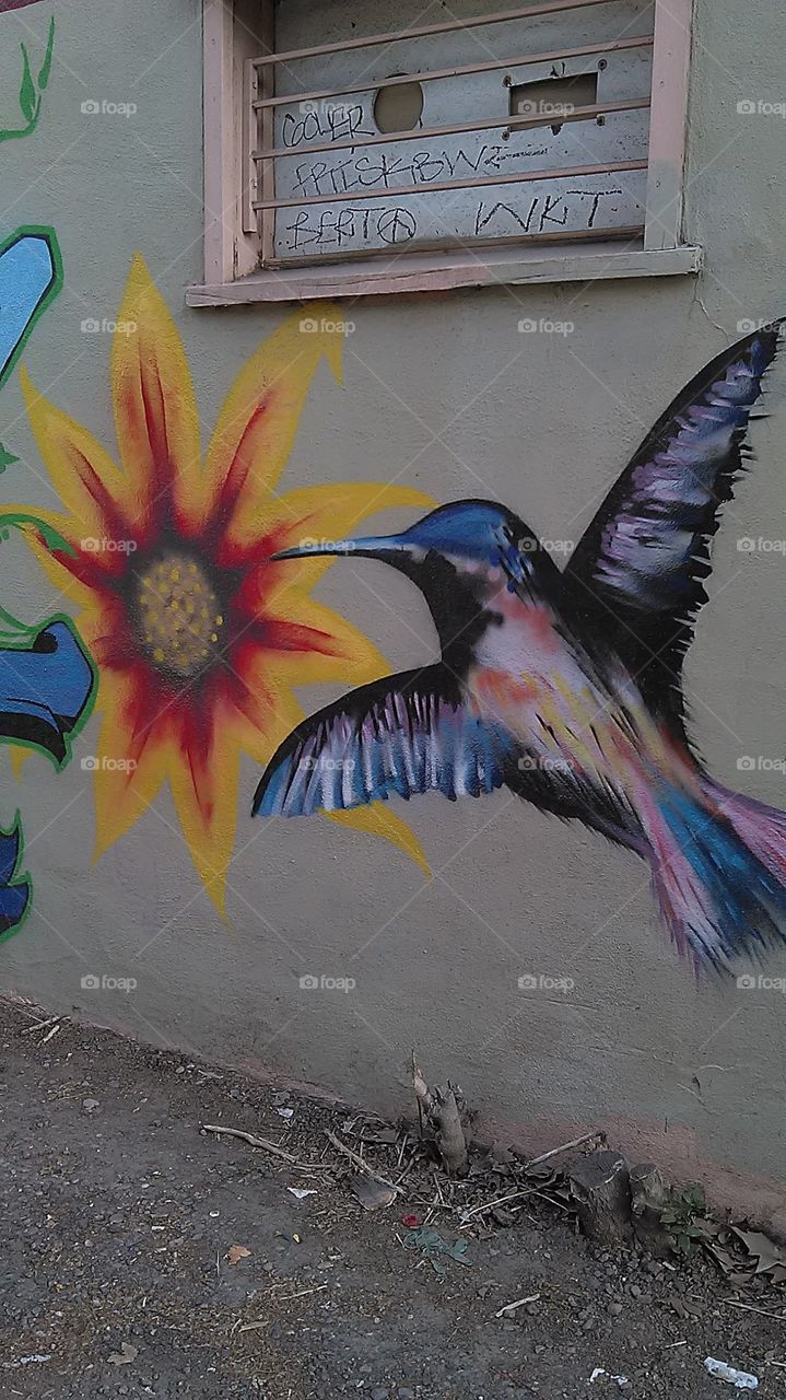 Back alley art / sunflower. My buddy and I taking a ride through the alley