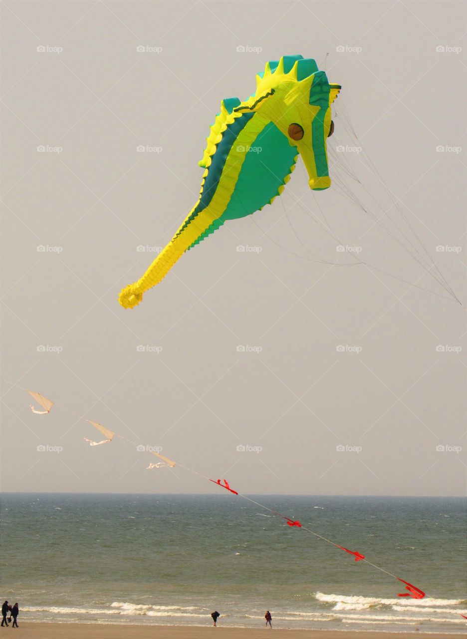 Berck kite competition