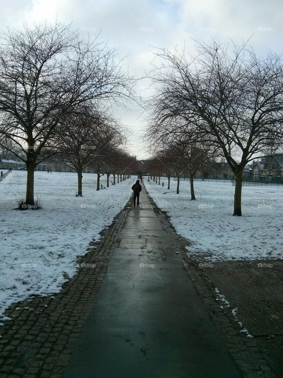 Snow at Cambridge