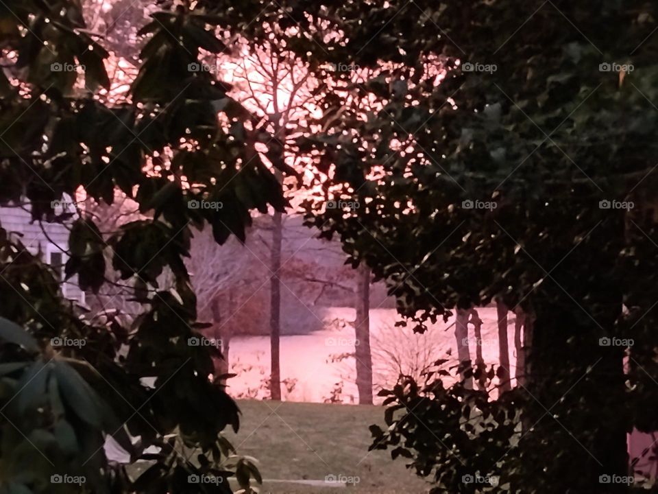 February Sunset / Long Pond, Cape Cod