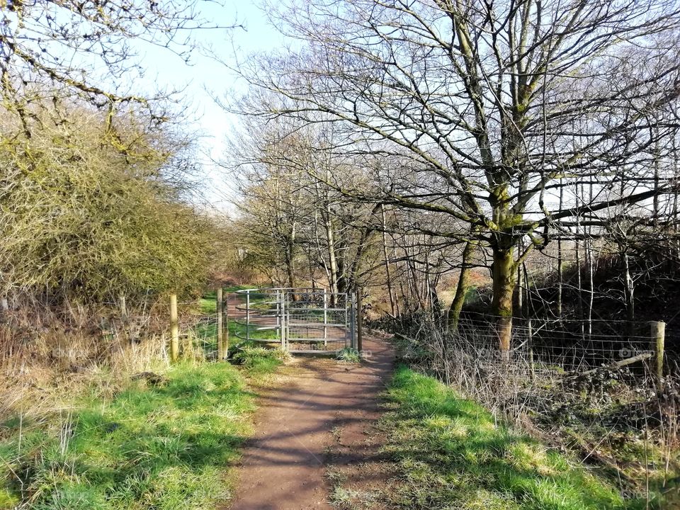 Ladderedge Country Park, Leek Staffordshire, Uk