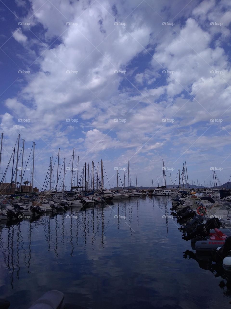 Editors' Choice: Photo of the Week