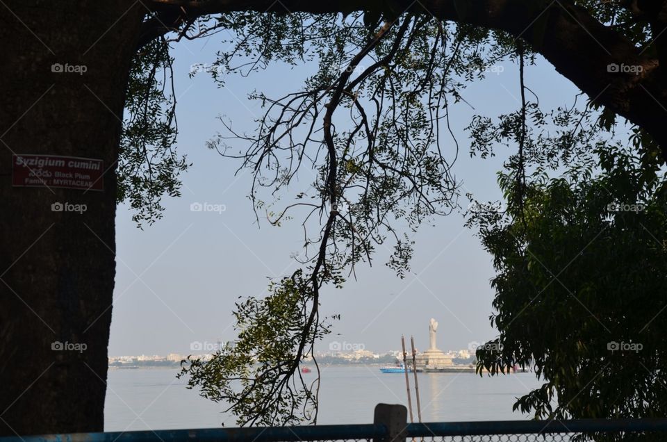 Tree, Water, No Person, Landscape, Travel