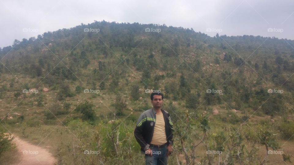 Landscape, Tree, Daylight, Outdoors, Nature