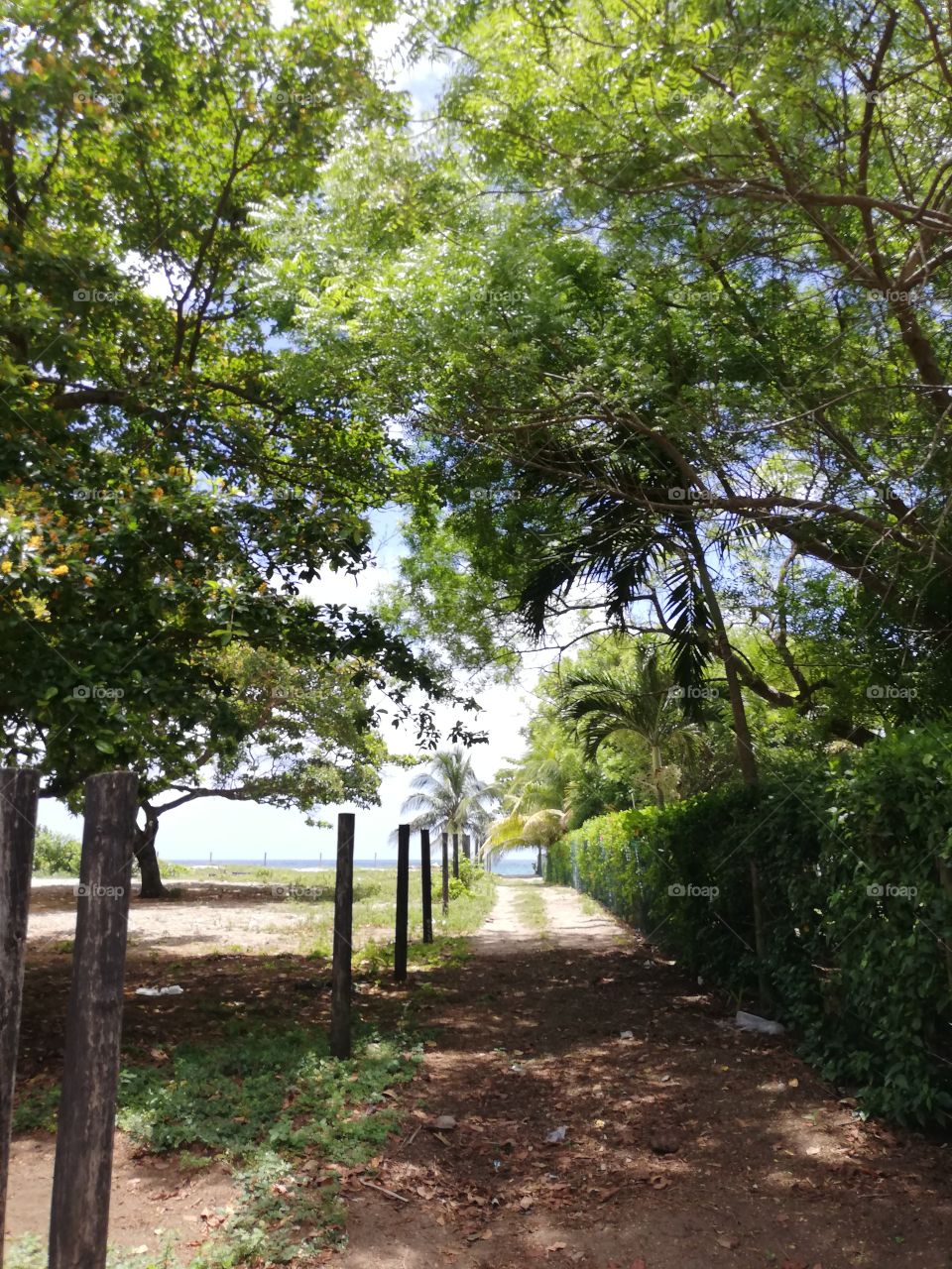 beach street, La Ensenada Tela, Honduras