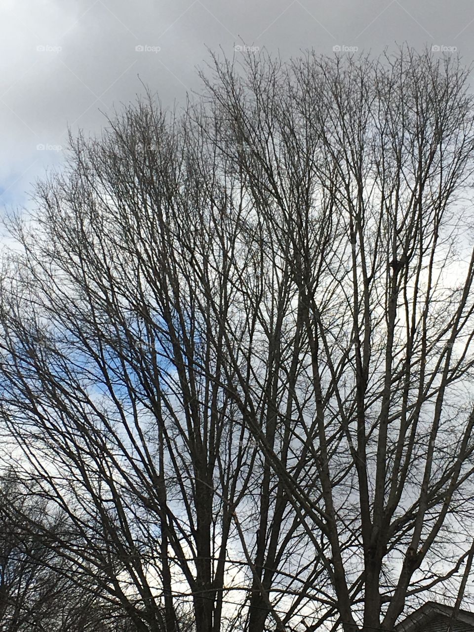 That winter is still hanging on