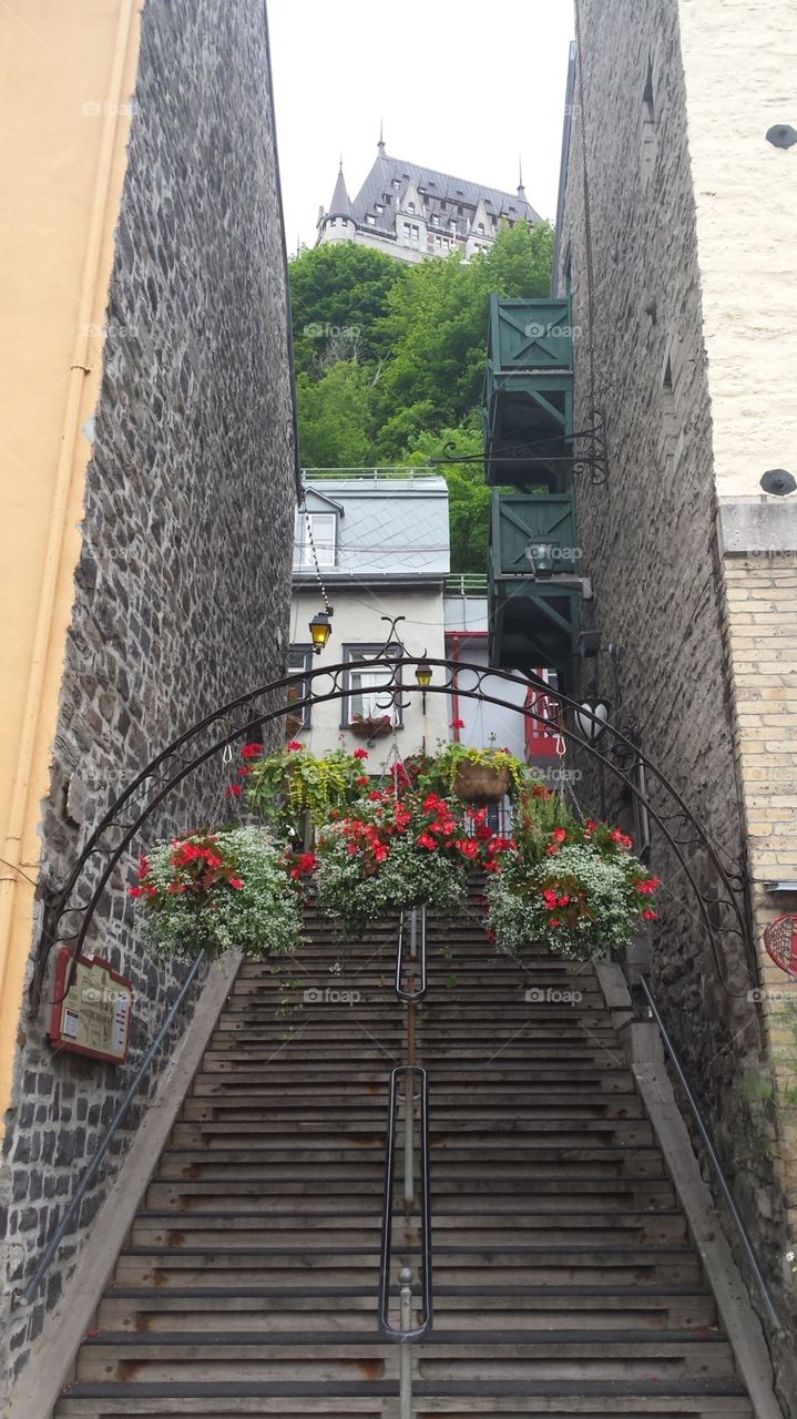 steps Quebec city