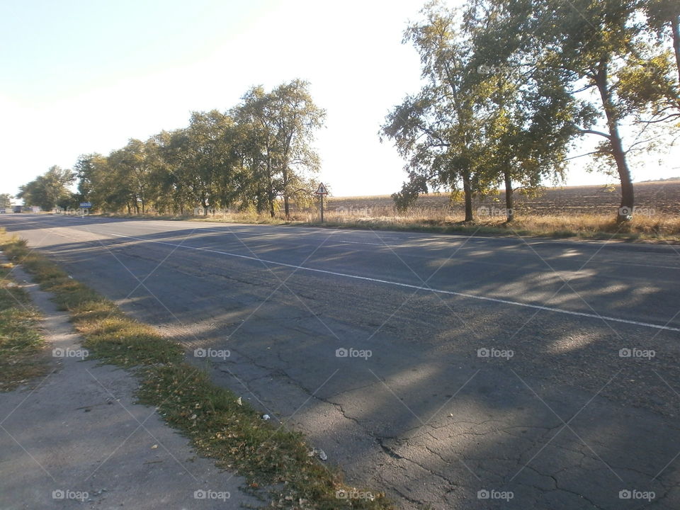 Дорога в даль...