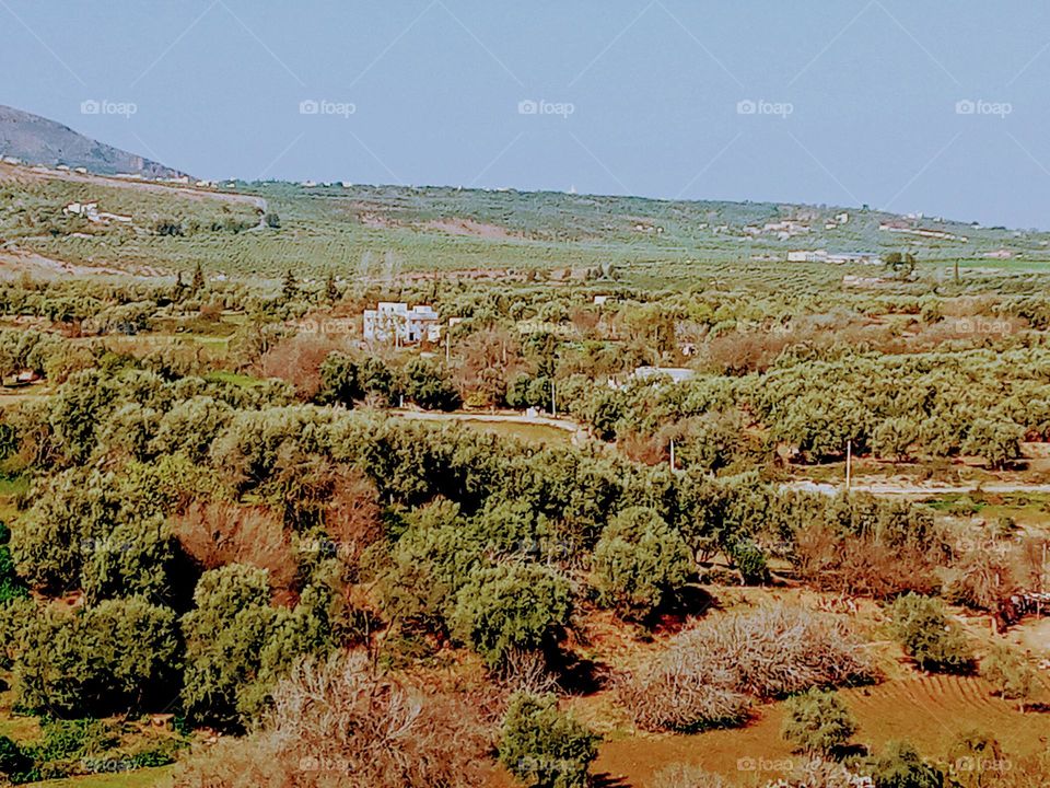 Population between the nature