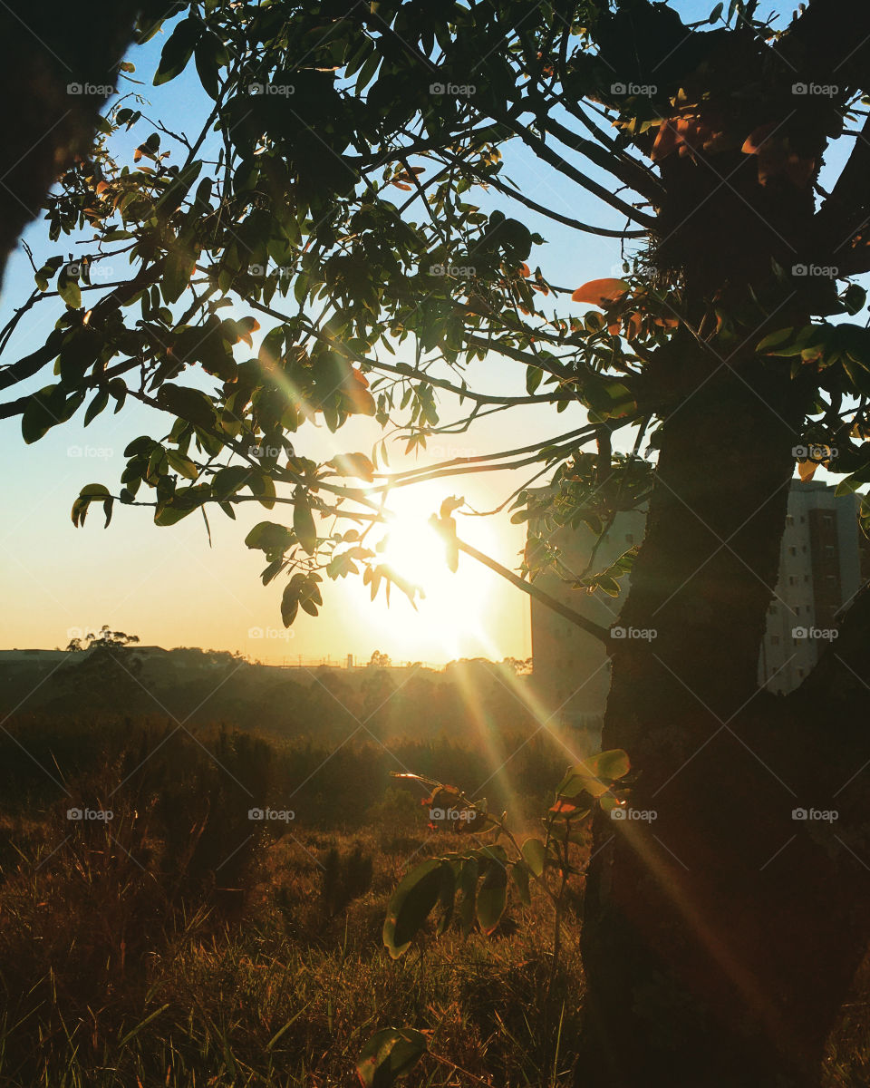 🌅Desperte, #Jundiaí.
Que a nossa jornada diária possa valer a pena!
🍃
#sol #sun #sky #céu #photo #nature #morning #alvorada #natureza #horizonte #fotografia #pictureoftheday #paisagem #inspiração #amanhecer #mobgraphy #mobgrafia 