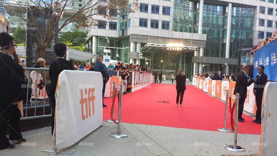Red carpet TIFF Toronto International Film Festival