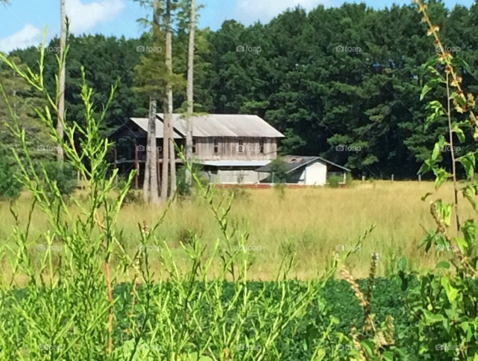 Rustic barn