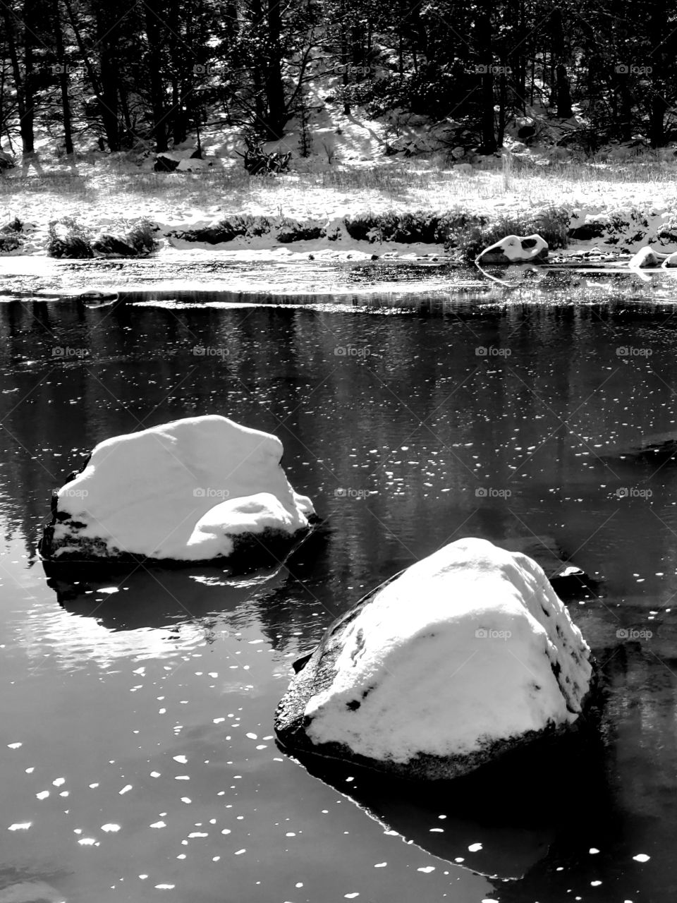 Two large boulders covered in fresh snow in the Crooked River in Central Oregon with trees on the banks reflecting in the water.