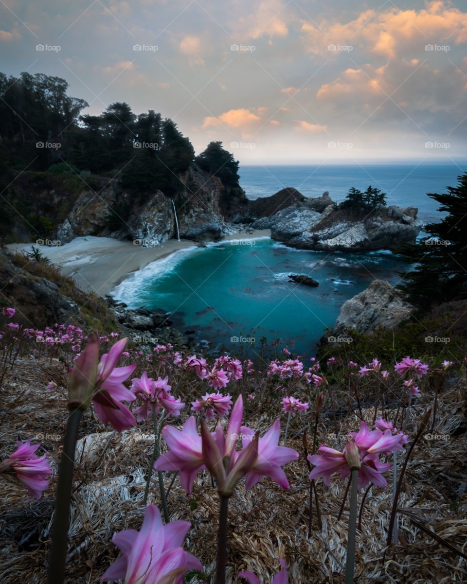 Cascading Fall Blooms. September is a great time to visit Mcway Falls to see the naked lady flowers in bloom. 