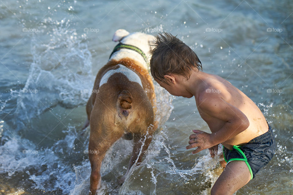 Bulldog bañandose en el mar