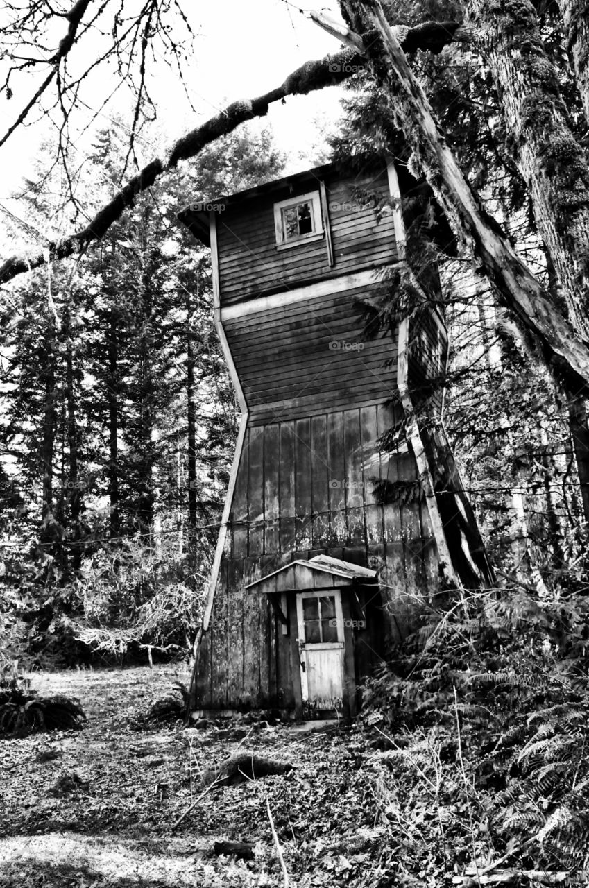Come in. An abandoned house in the Mt. Hood National Forest 