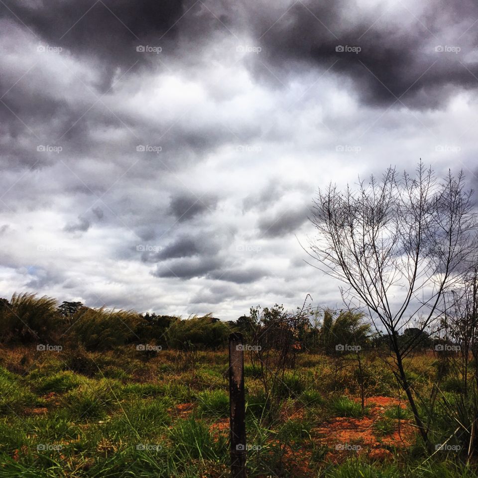 🌅Desperta, #Jundiaí!
Ótima quinta-feira a todos. 
🍃
#sol #sun #sky #céu #photo #nature #morning #alvorada #natureza #horizonte #fotografia #paisagem #inspiração #amanhecer #mobgraphy #FotografeiEmJundiaí