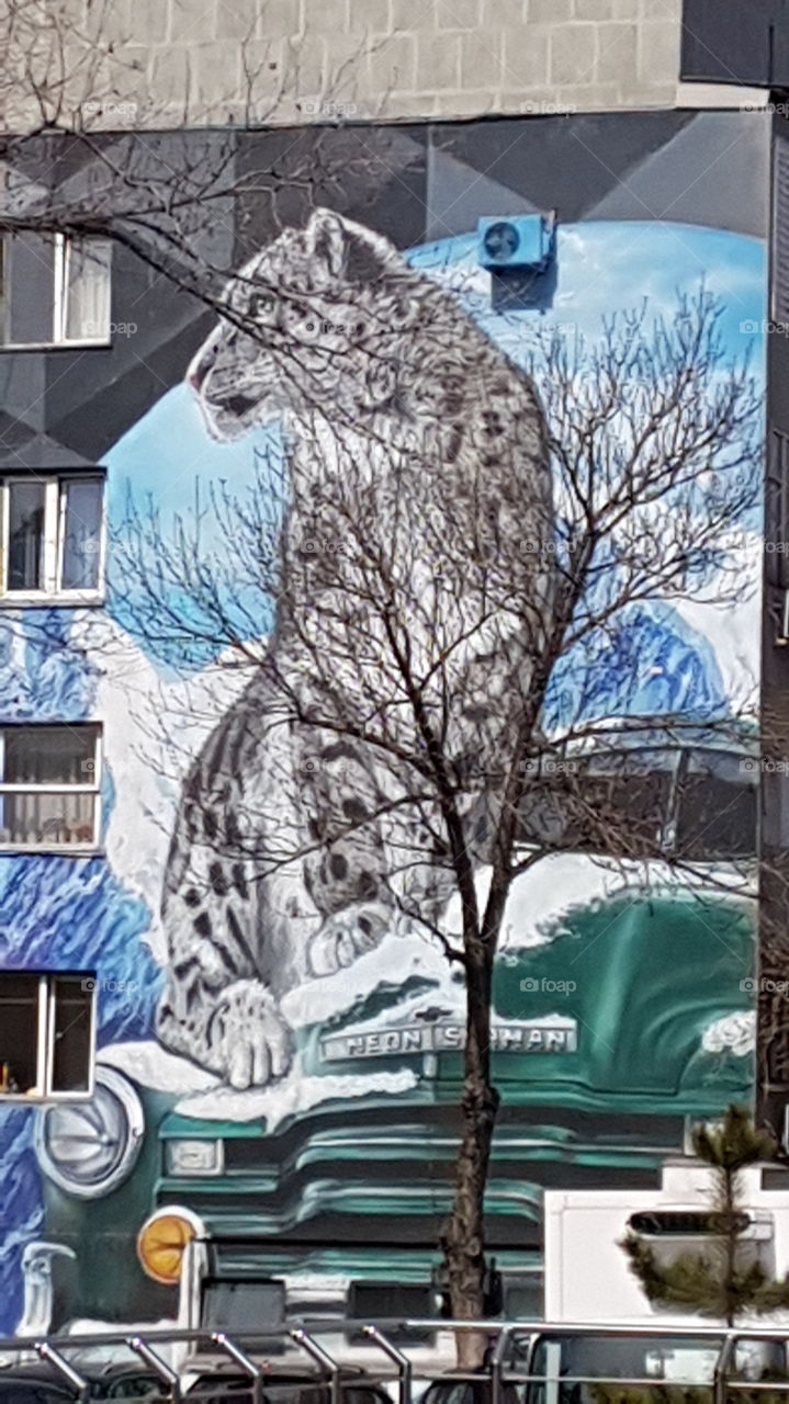 Snow leopard street art