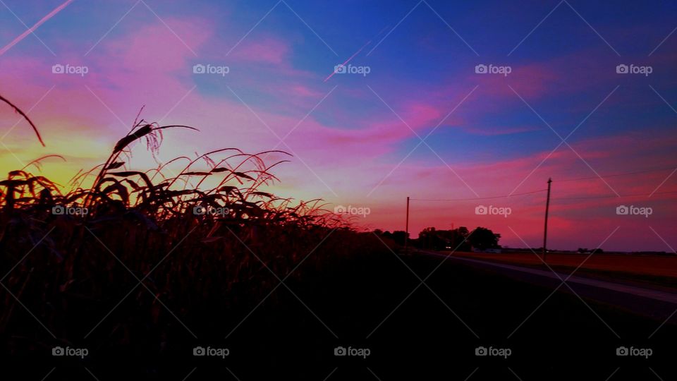 sunrise sunset field Road rule Ohio Fall