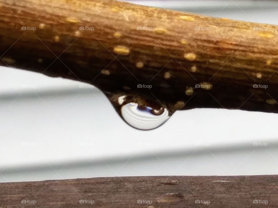 droplet on a stick