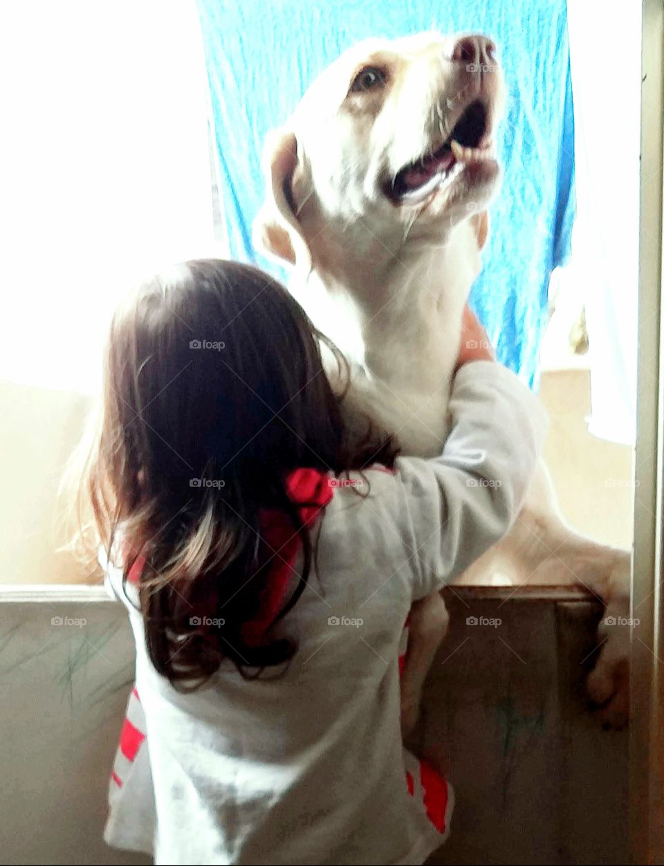 This photo portrays much of what we would like to see in the world. This is a synonym that there should be more love, affection, friendship, solidarity with animals. Did you know that mistreating animals is a crime?