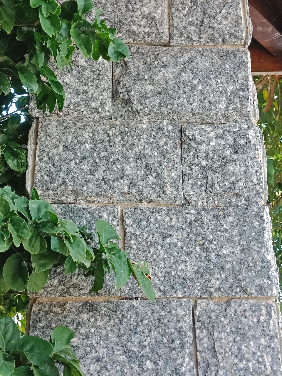 Stone wall with plants