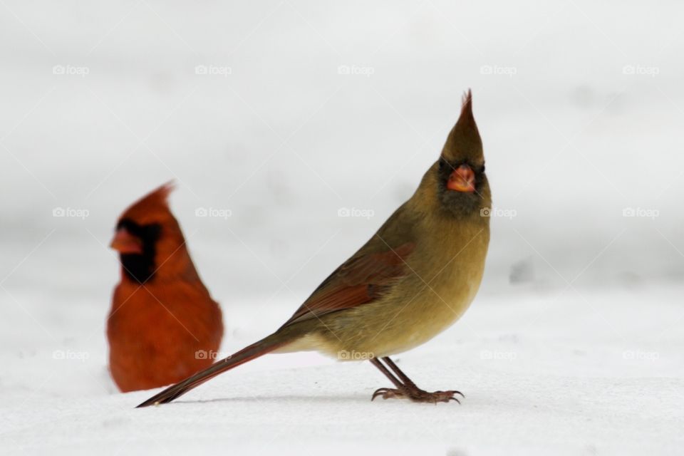 Ma and Pa out for a bite to eat
