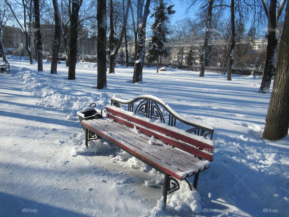sunny winter day in the city, walk in the city park, benches in the snow