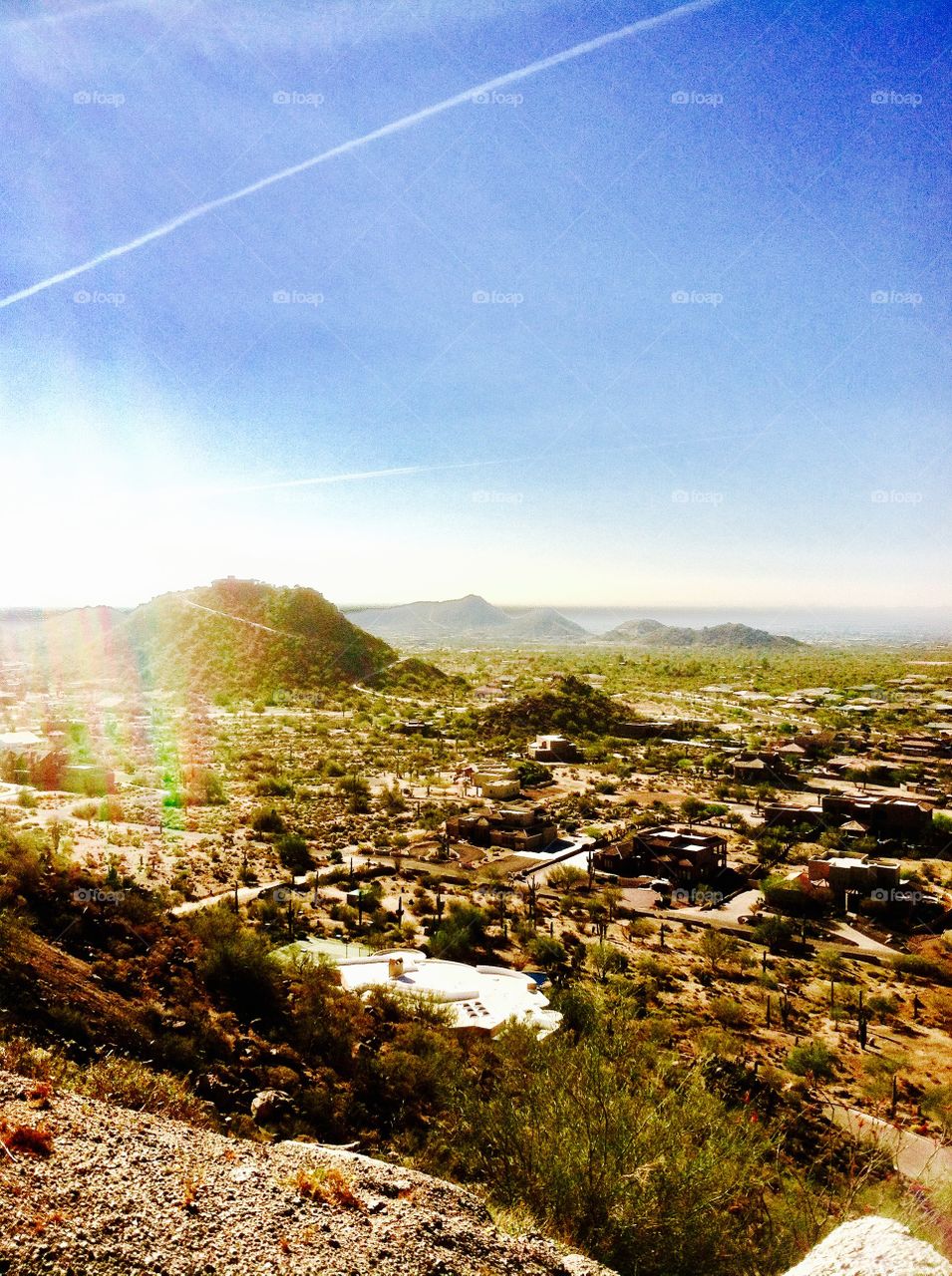 Bright desert landscape 