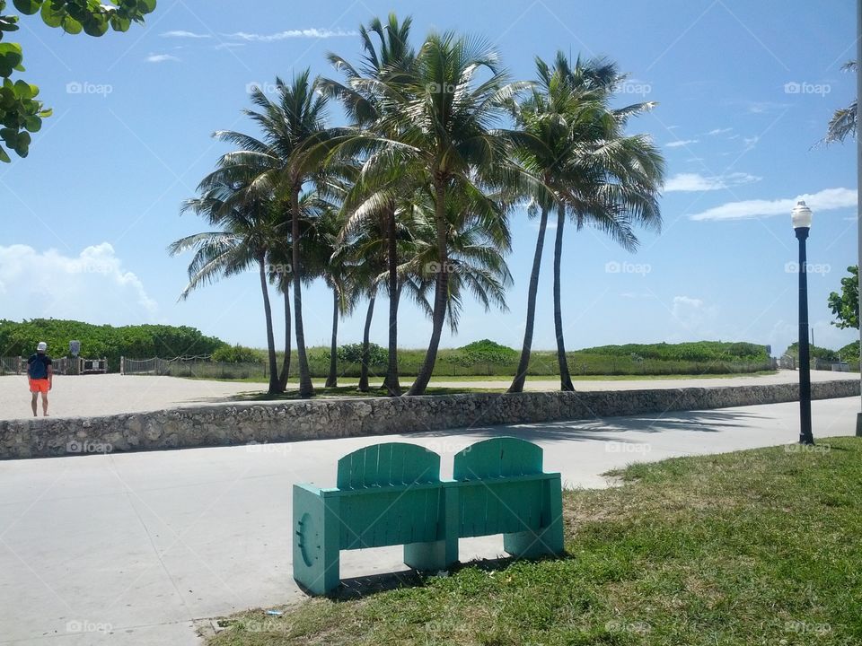 Bench with a view