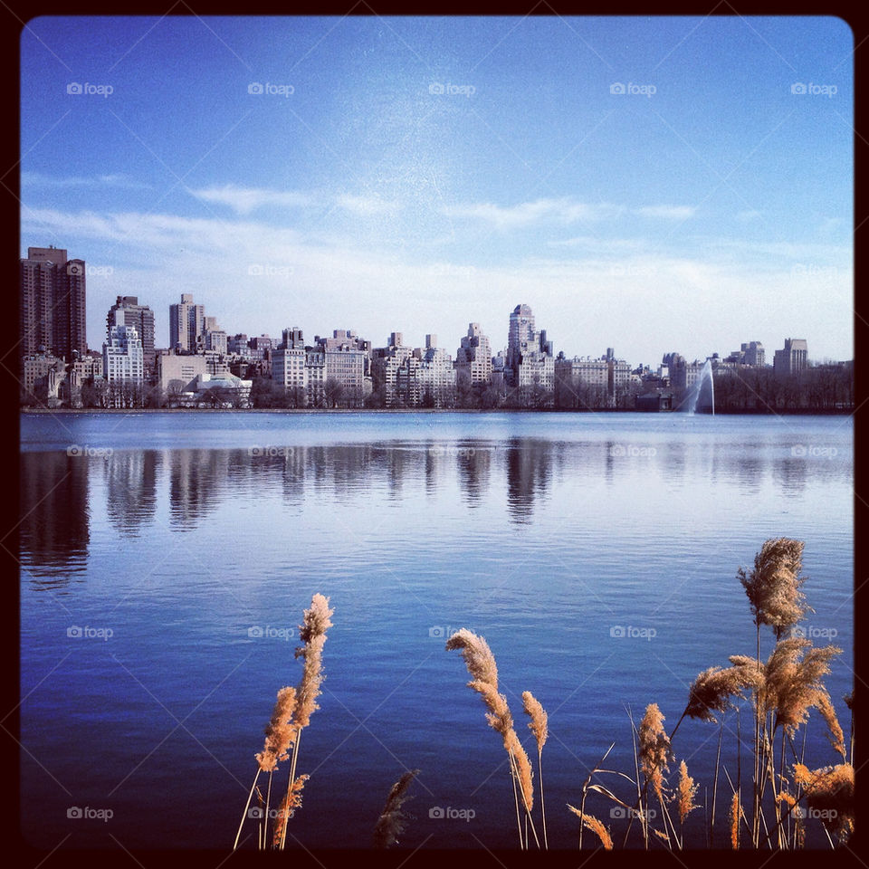 Beautiful day in Central Park